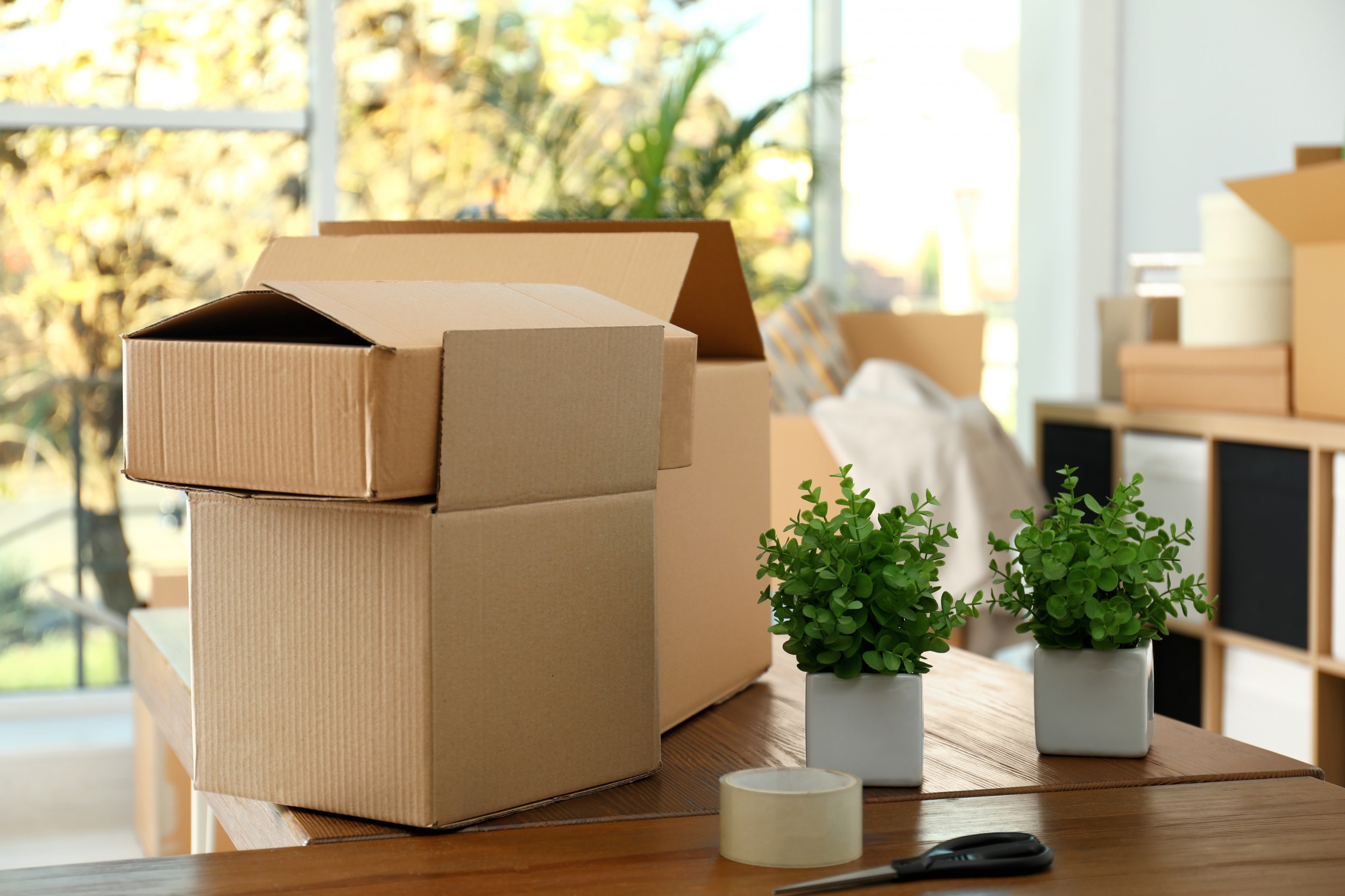 Finding the Perfect Removal Firm for Your Move