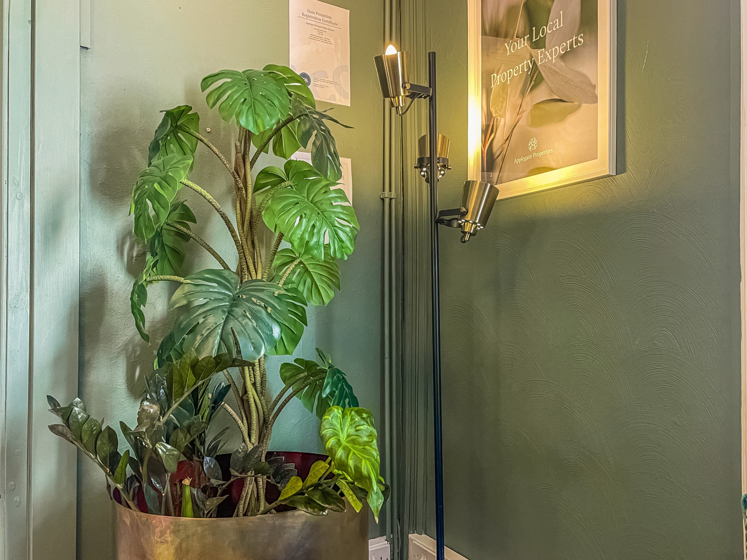 10 Indoor Plants You Can’t Kill: Perfect for the Change in Seasons